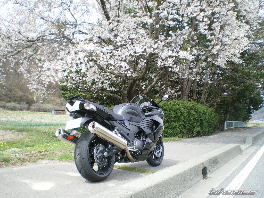 Bike Photo 2198564
