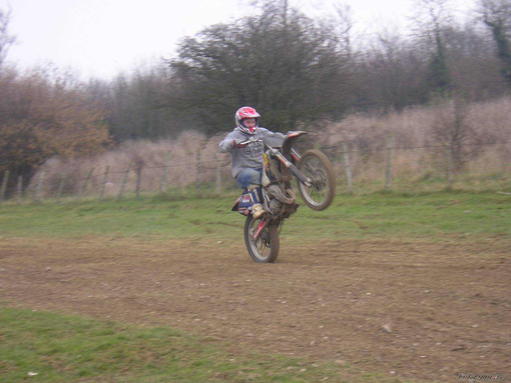 Photo 219861