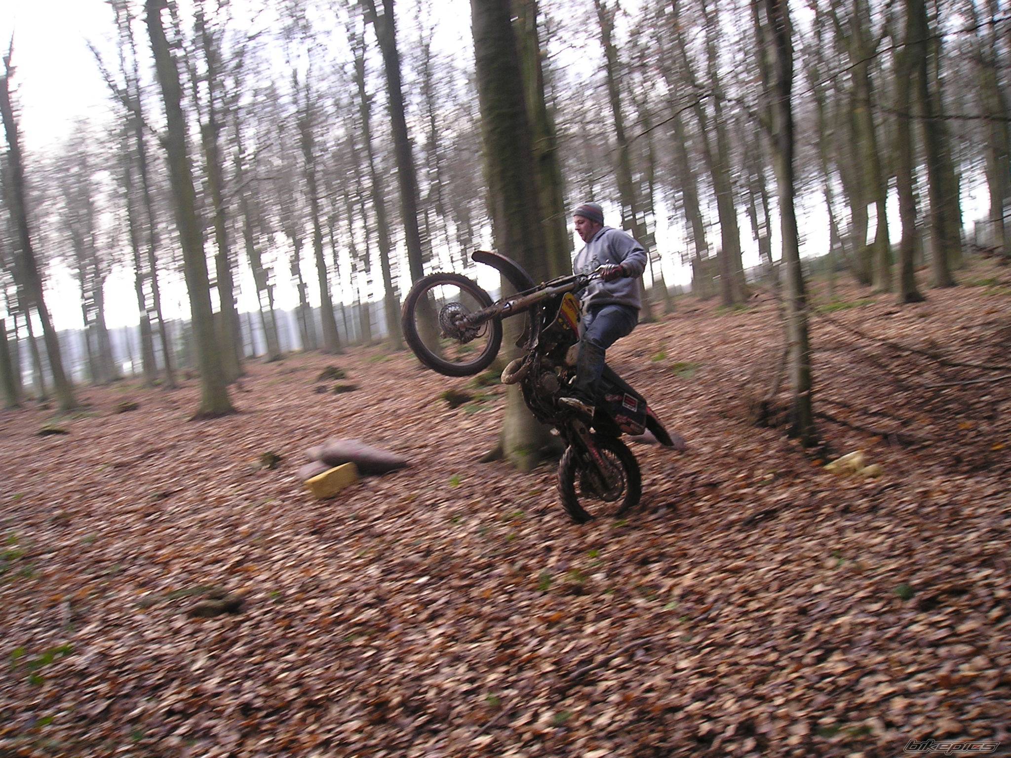 Photo 219862