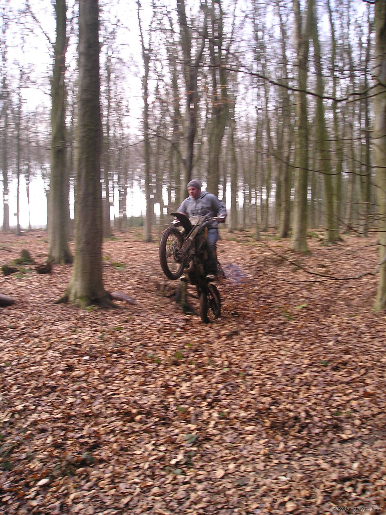 Photo 219863