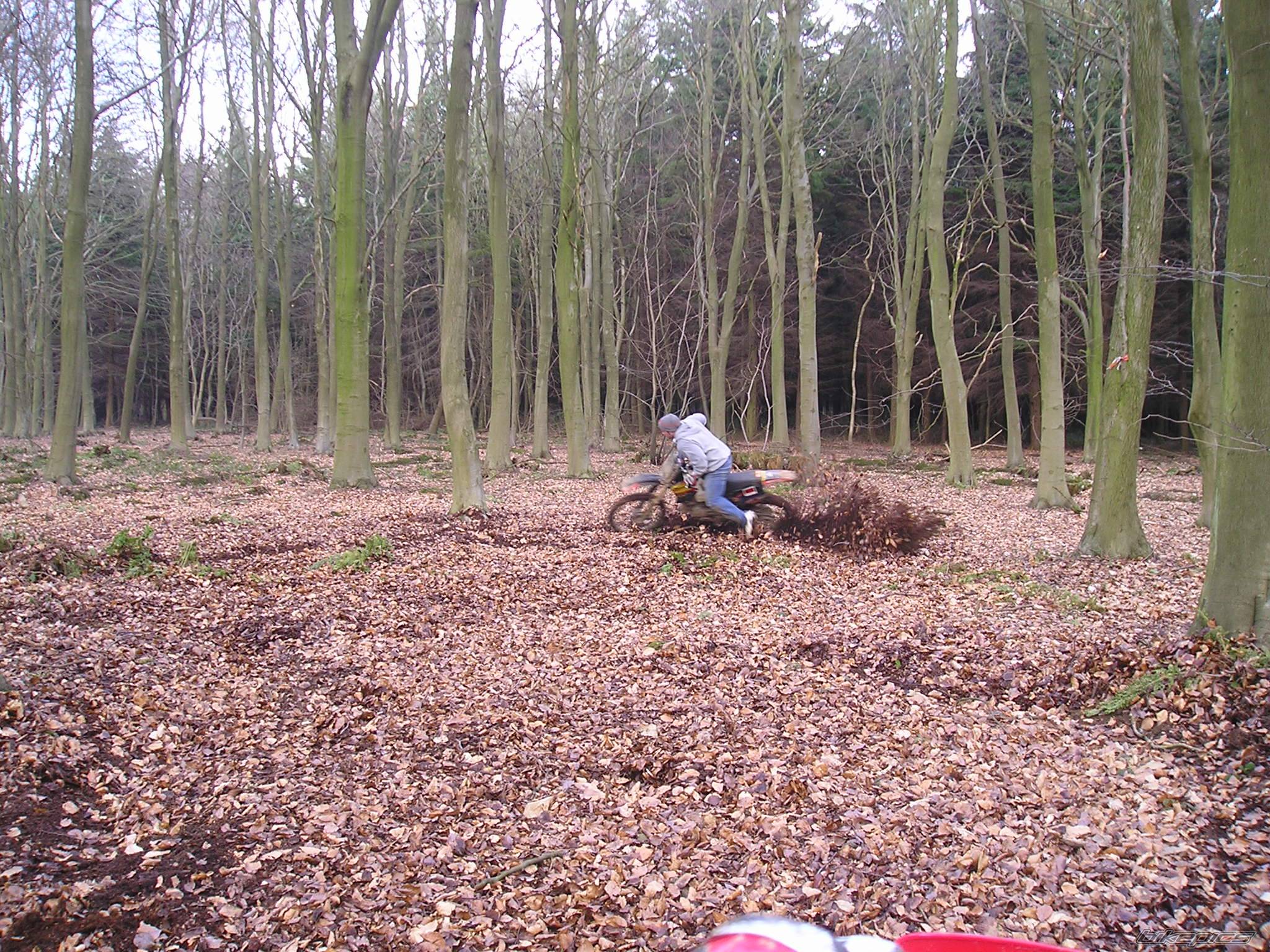 Photo 219865