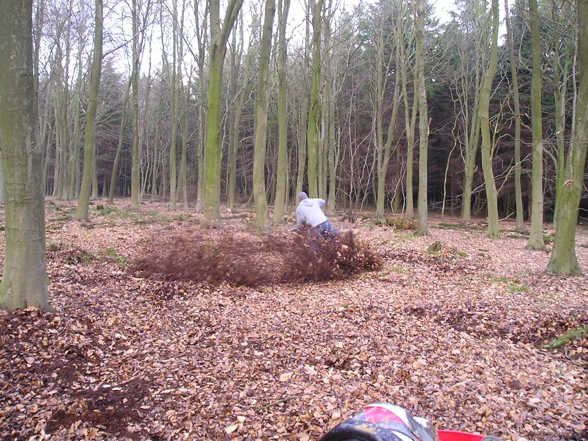 Photo 219866