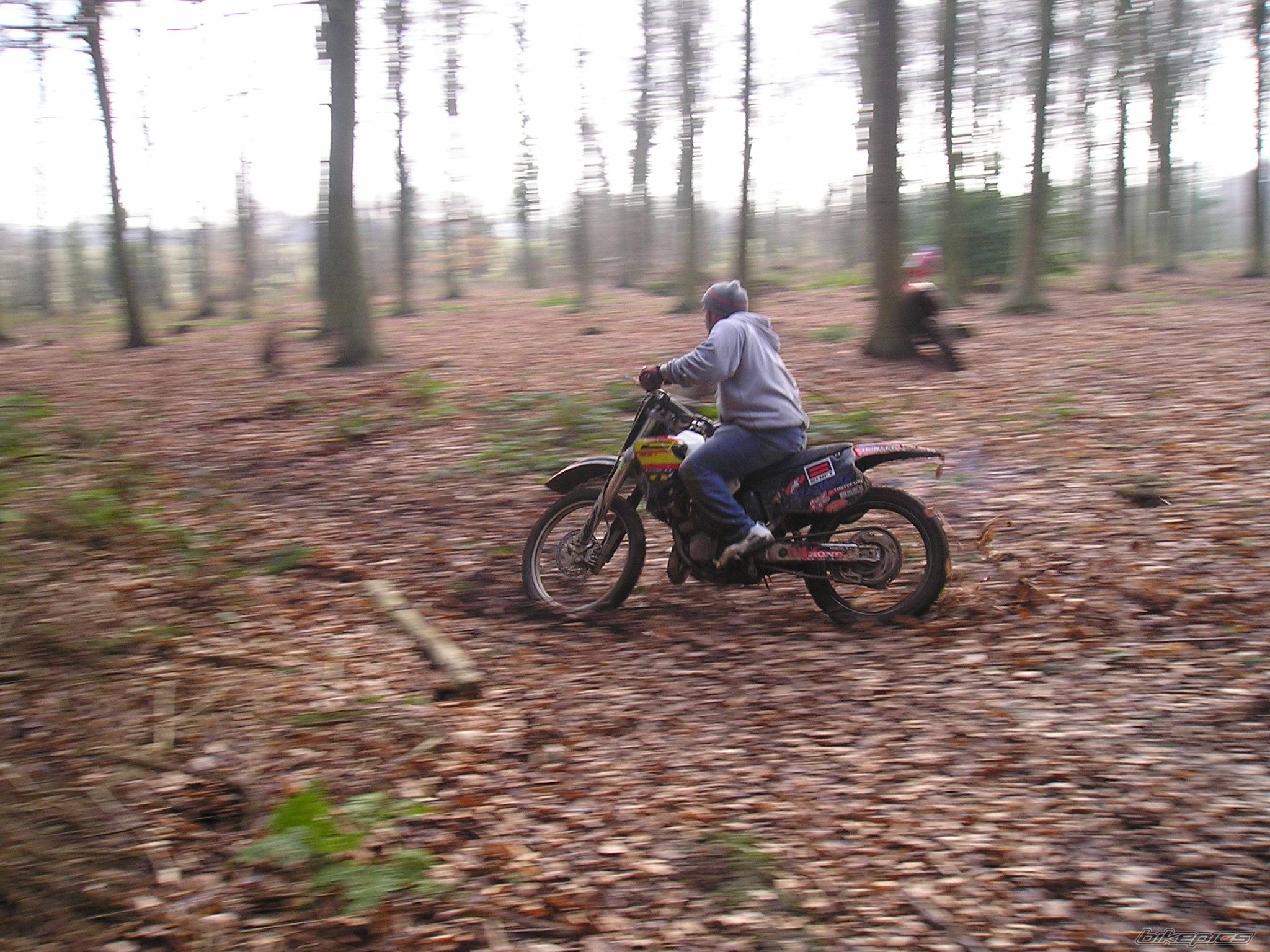 Photo 219867