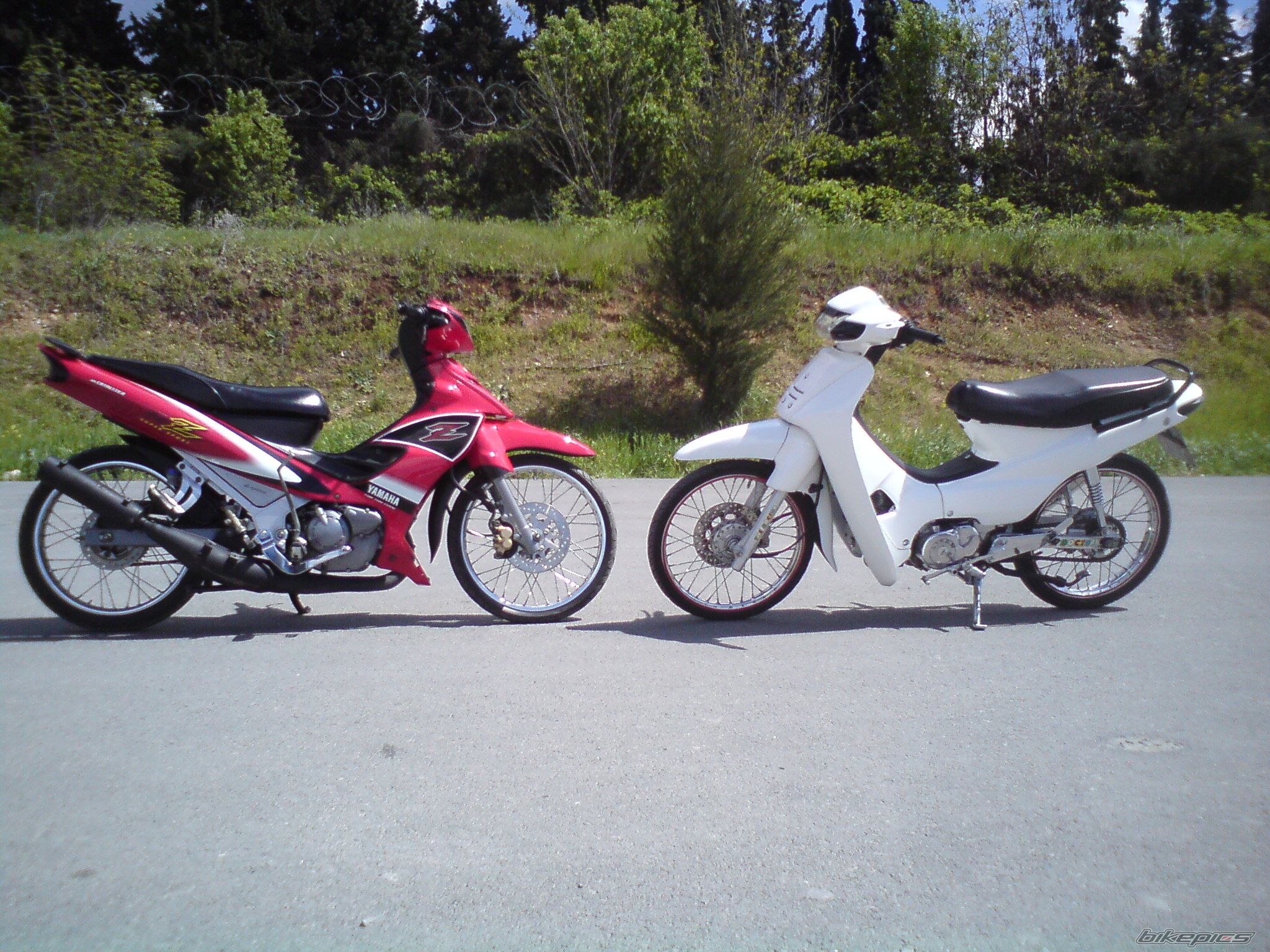 Photo 2198674