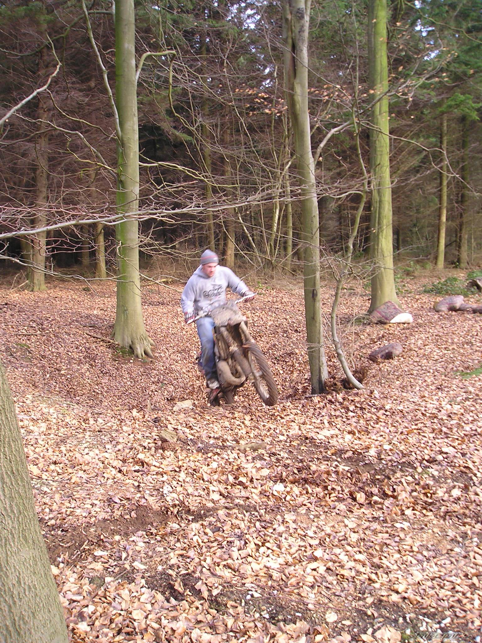 Photo 219868