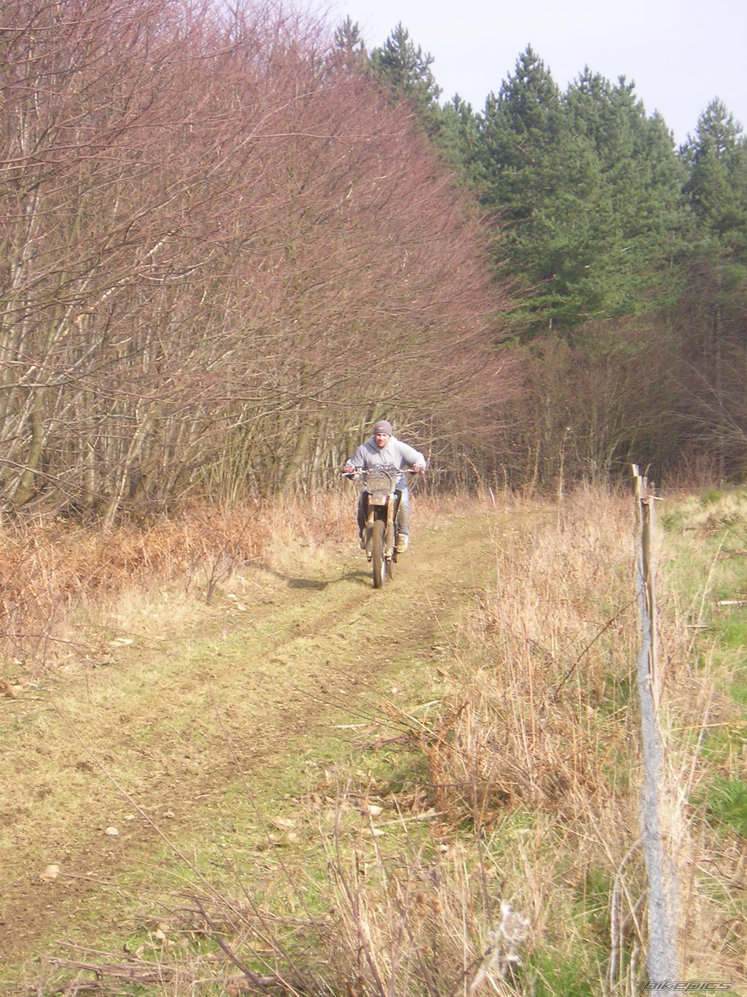 Photo 219869