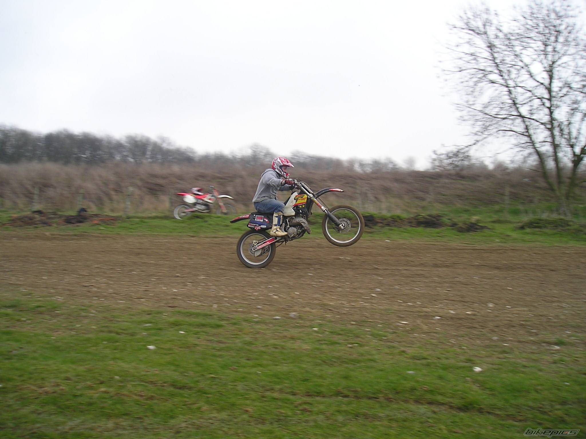 Photo 219871