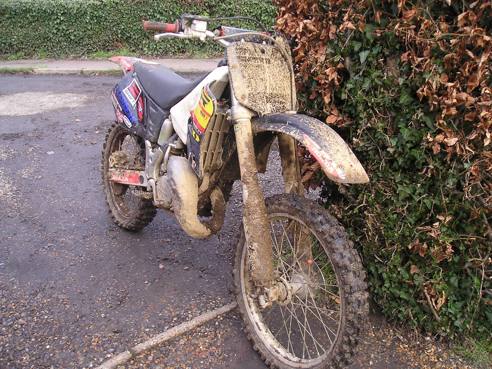 Photo 219873