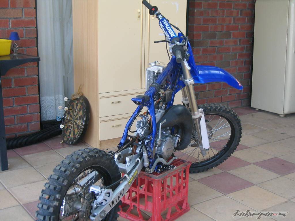 Photo 219874