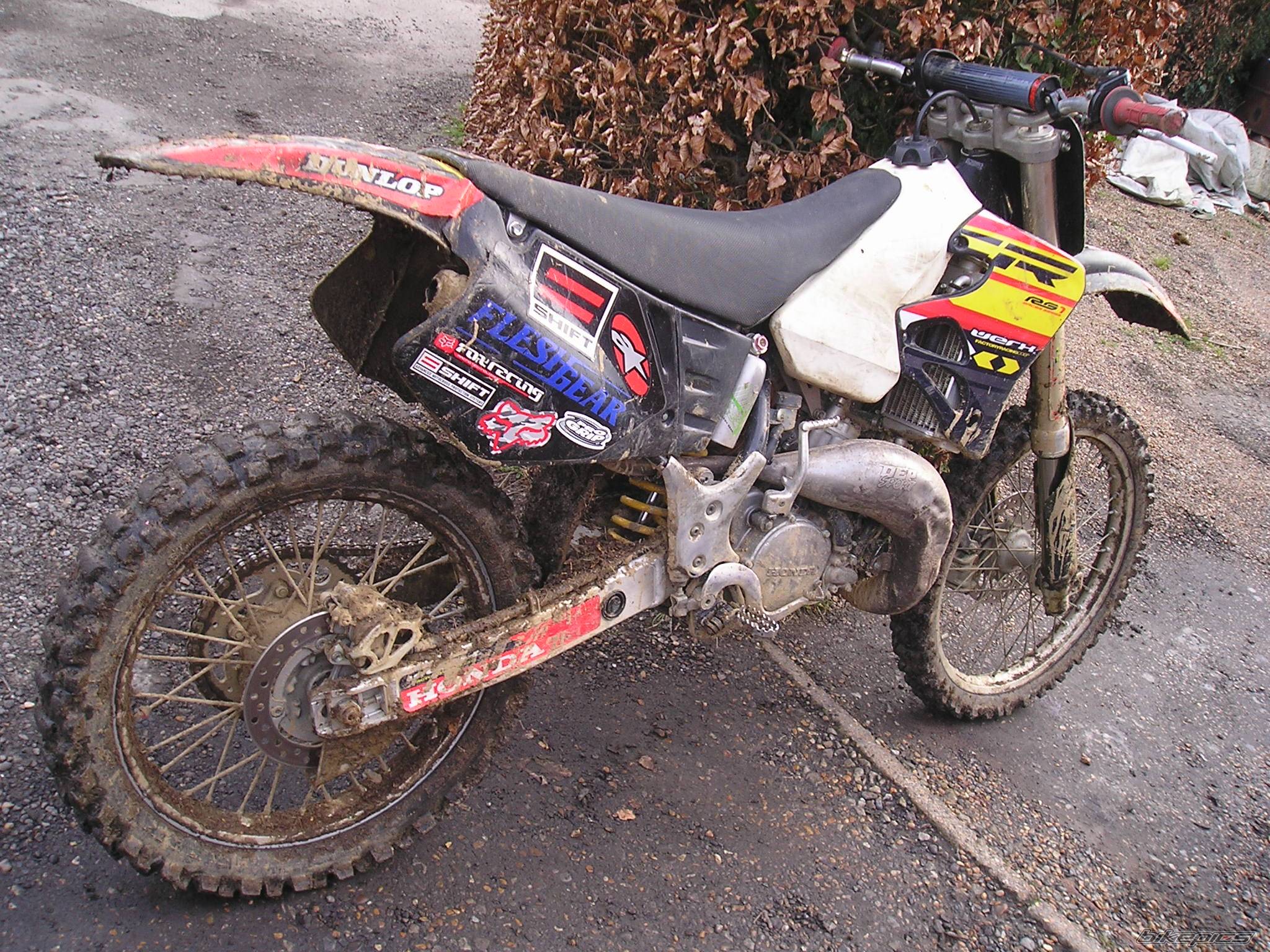 Photo 219875
