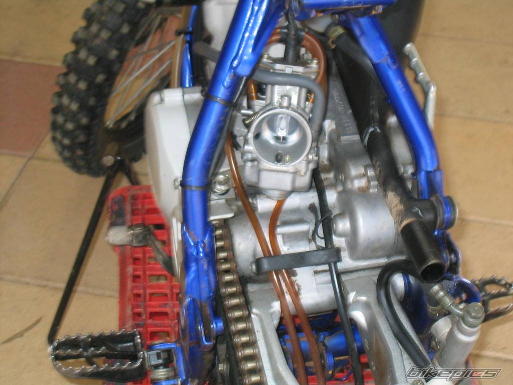 Photo 219876