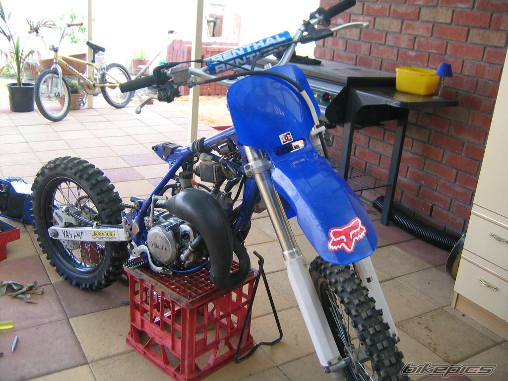 Photo 219878