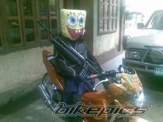 Photo 2198792