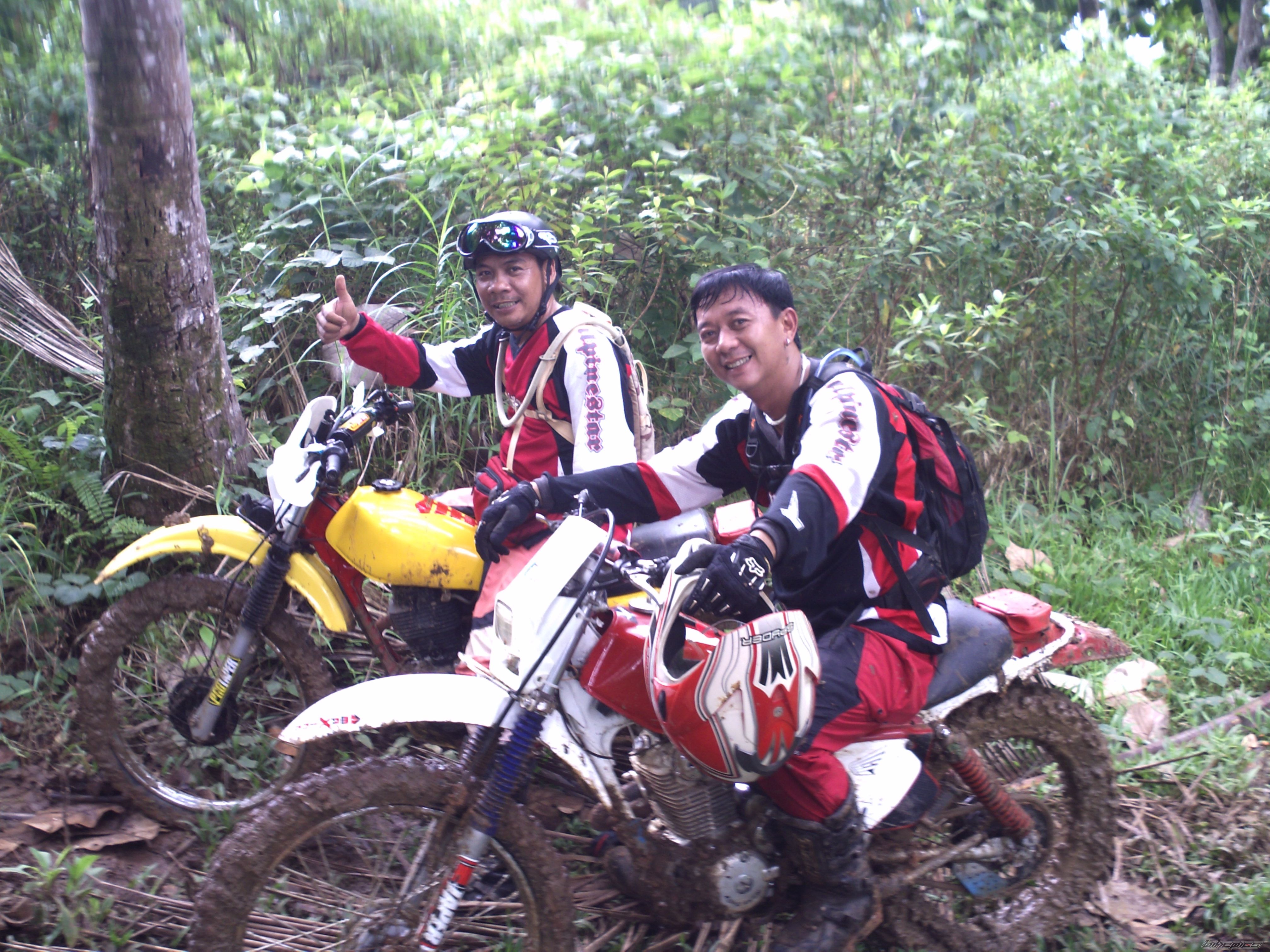 Photo 2198813