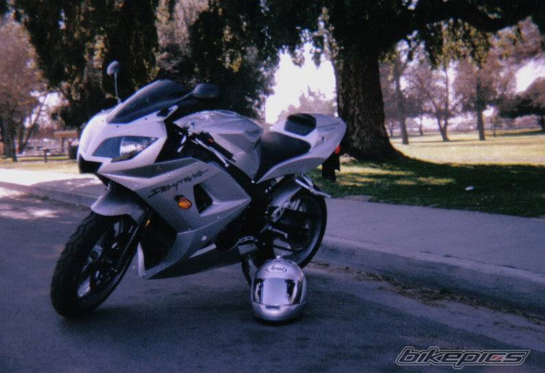 Photo 219890