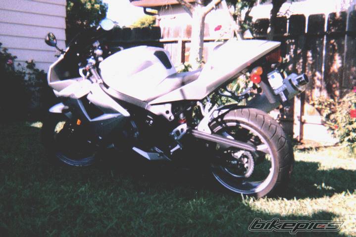 Photo 219891