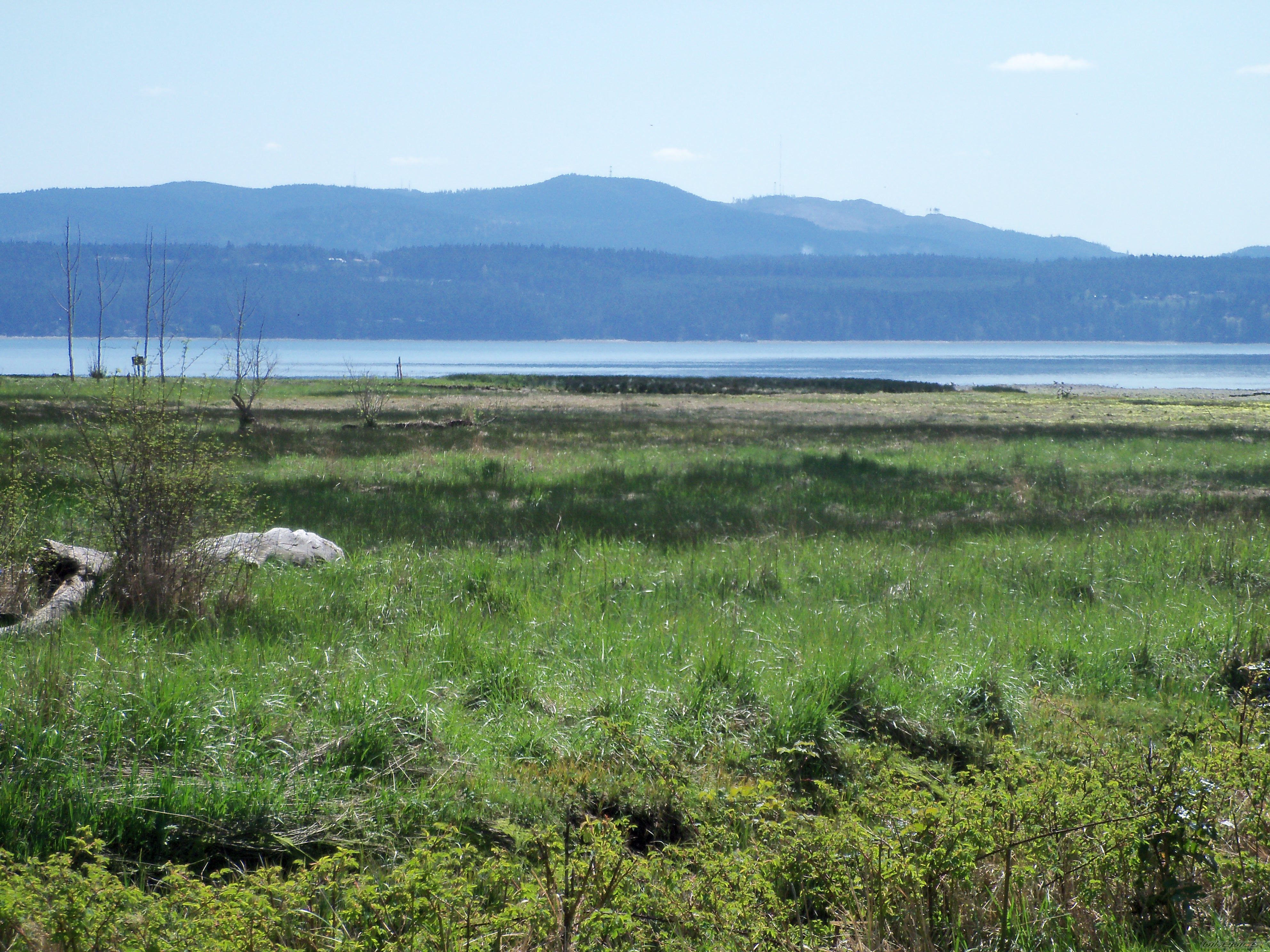 Photo 2199039