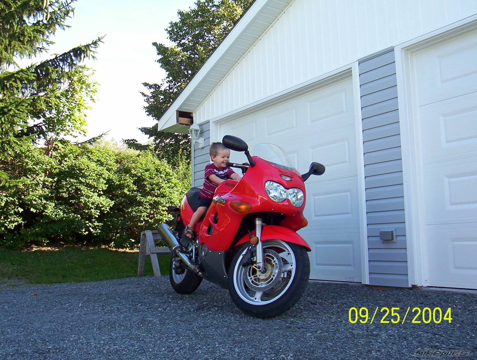 Photo 219916