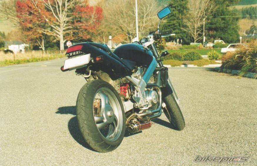 Photo 219928