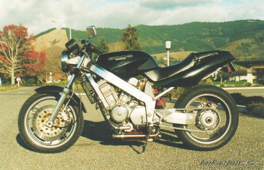 Photo 219929