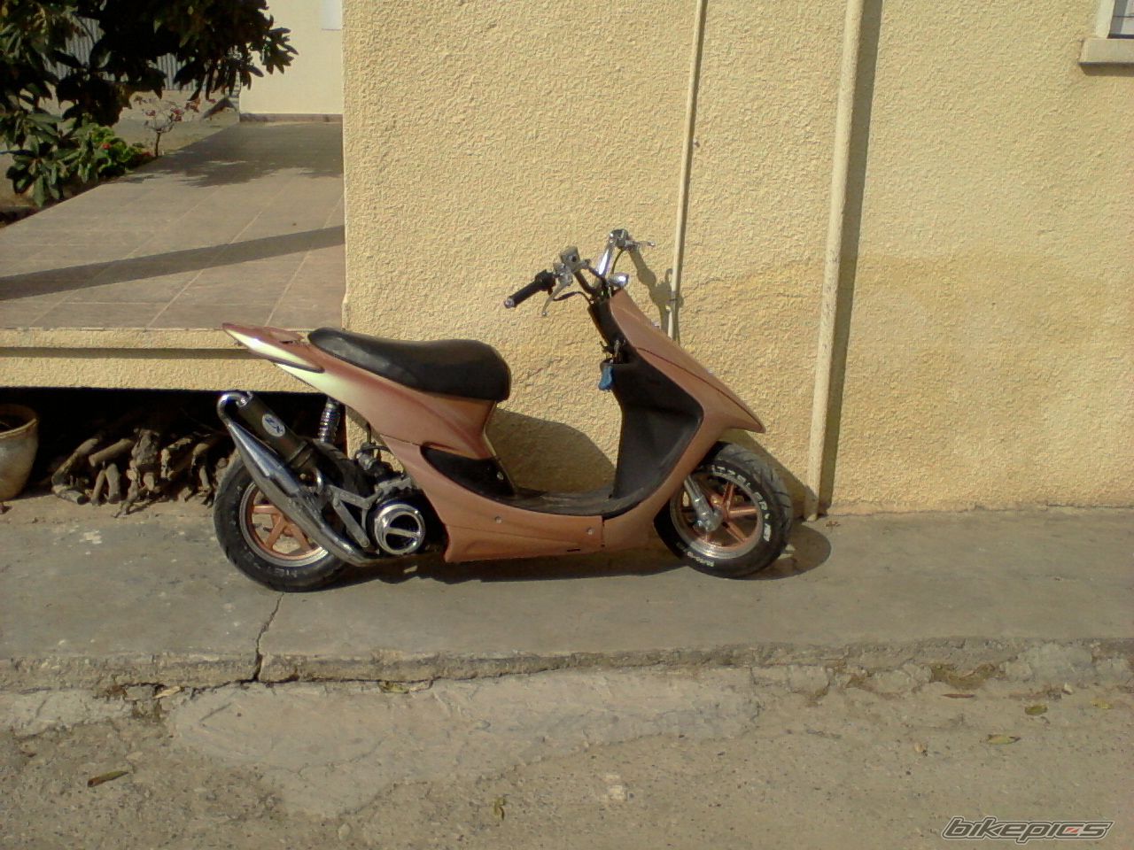 Photo 2199309