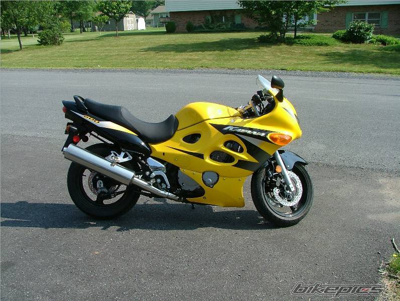 Photo 219934