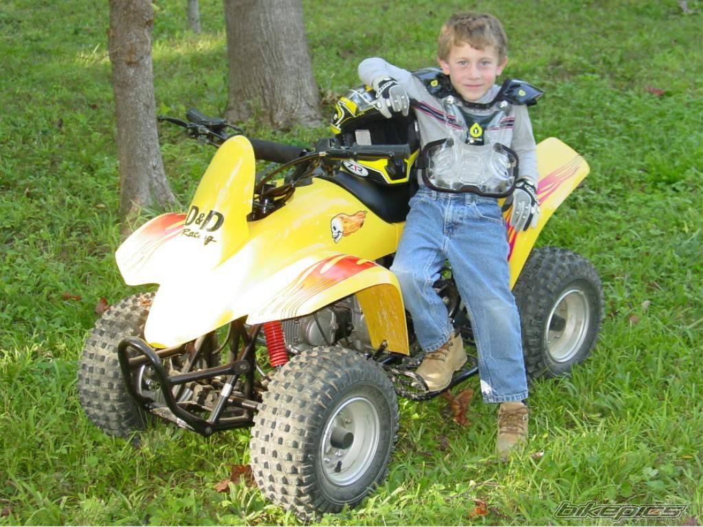 Photo 219938