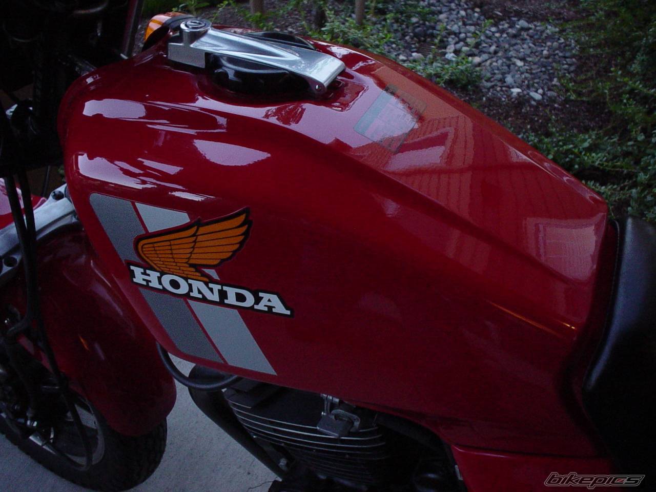 Photo 219941