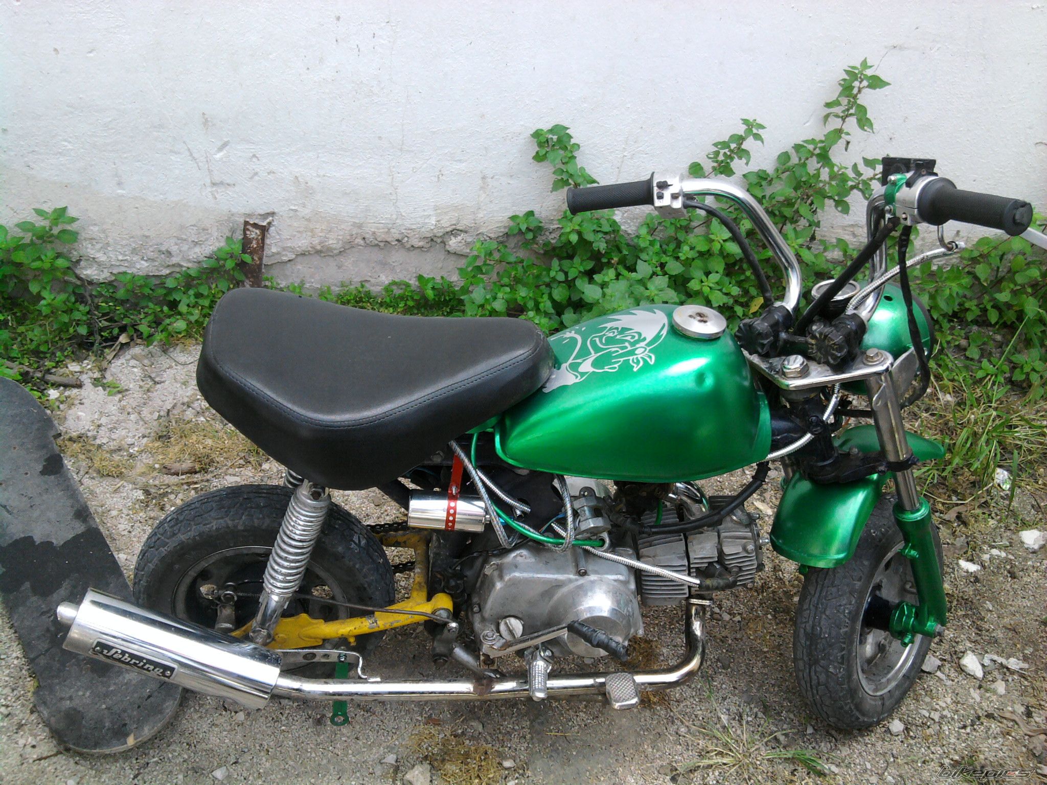 Photo 2199495
