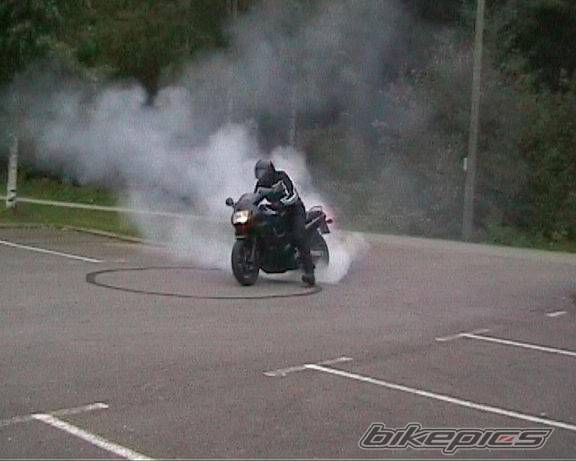 Photo 219960