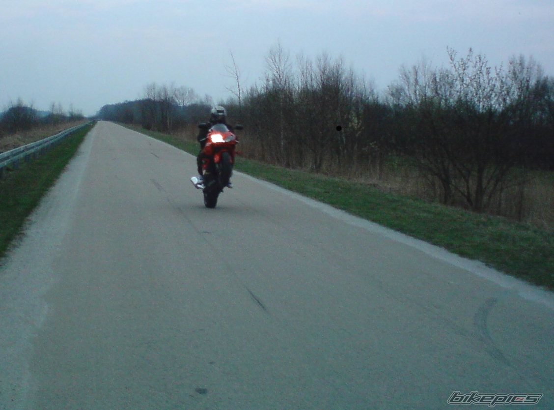 Photo 2199628