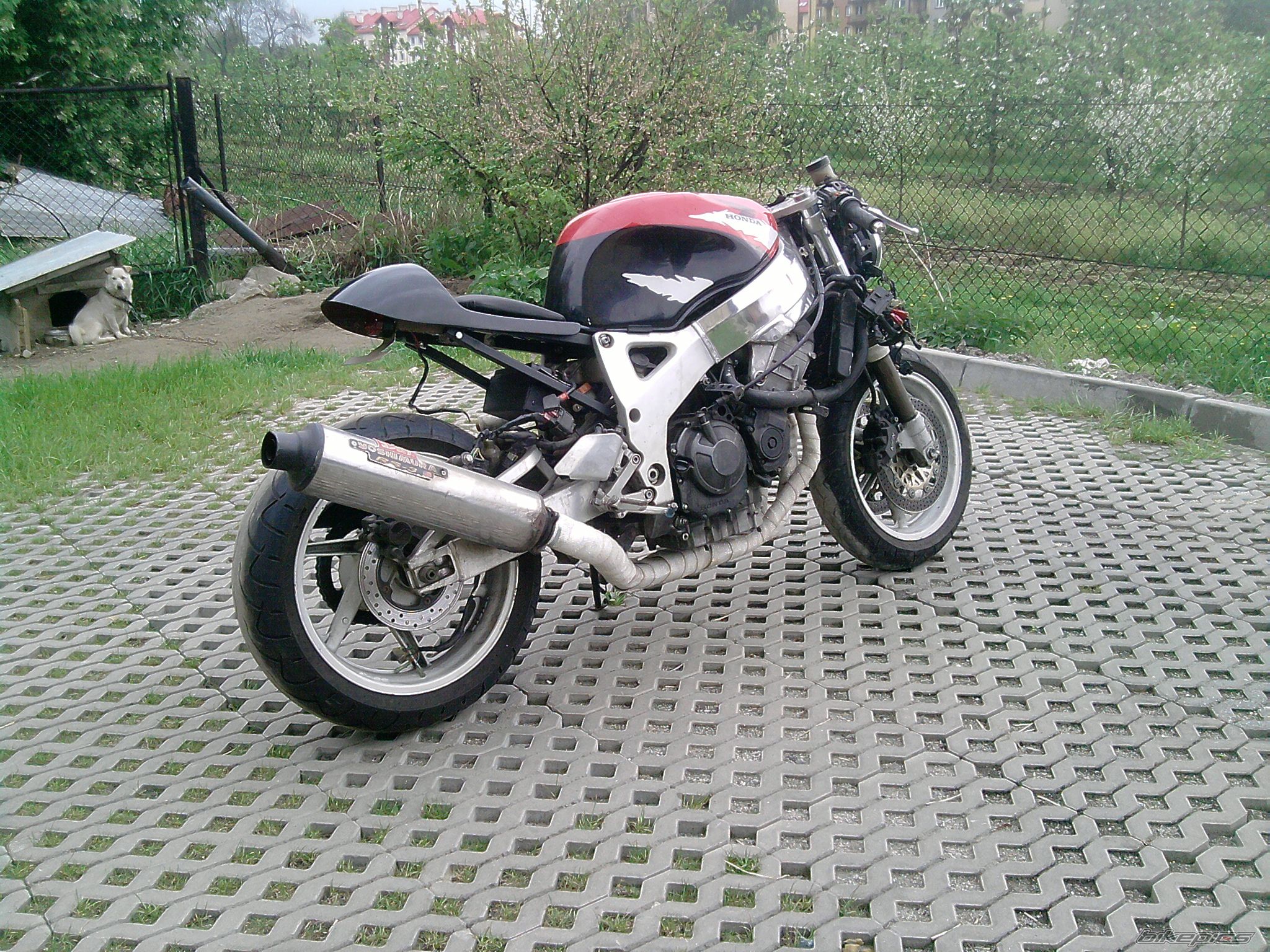 Bike Photo 2199816