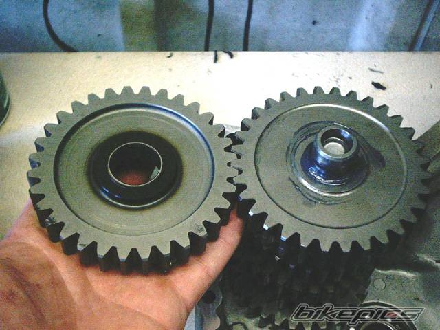 Photo 219984