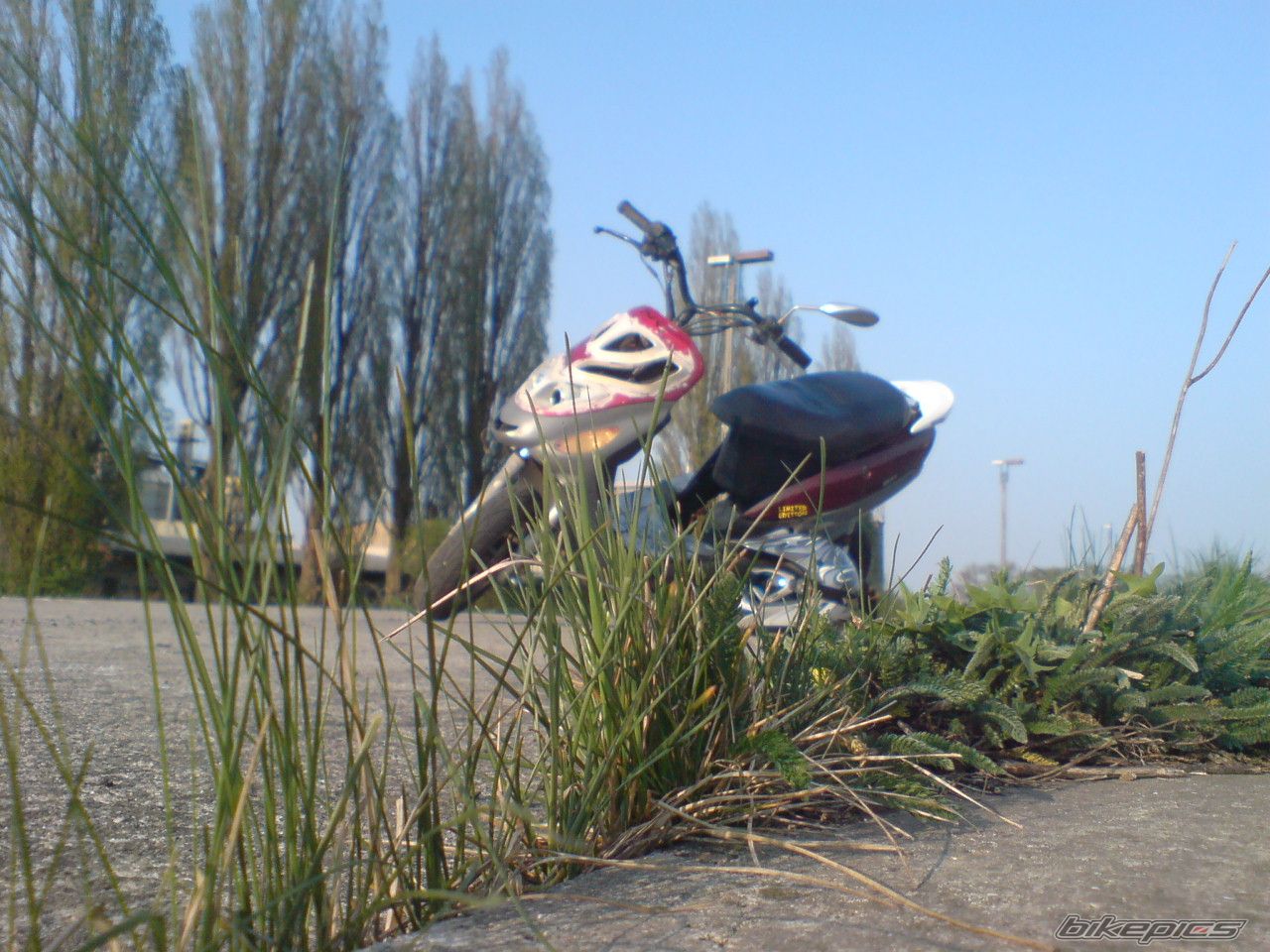 Photo 2199881