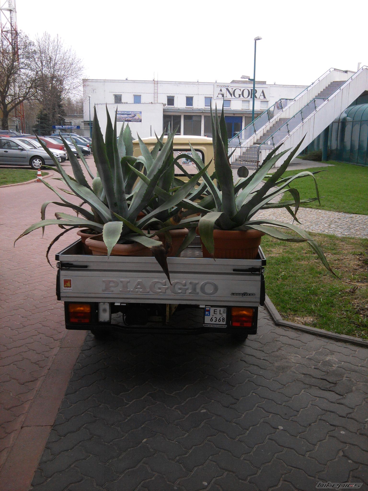 Photo 2199895
