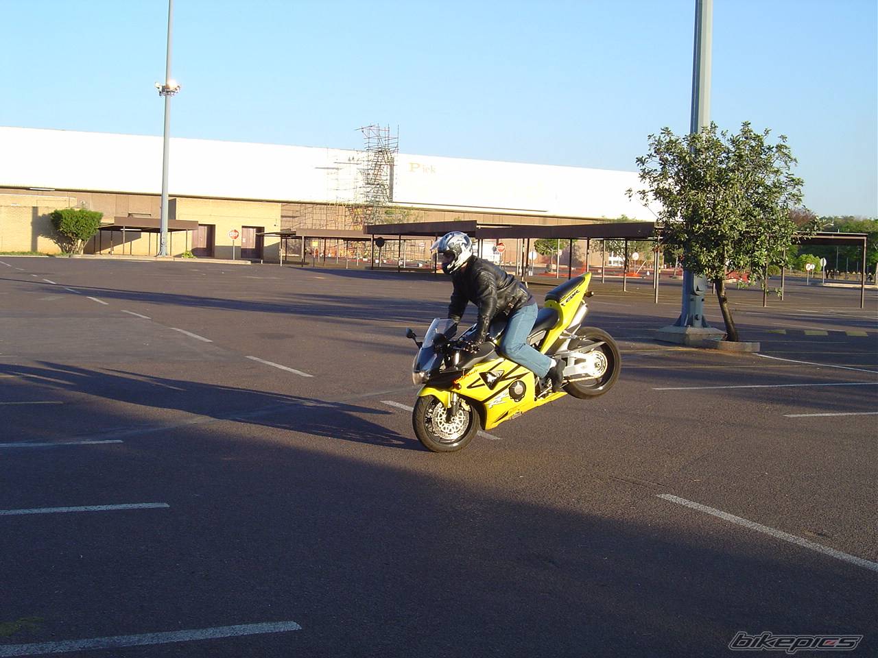 Photo 219992