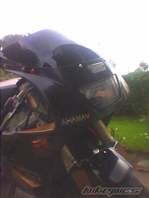 Photo 219999