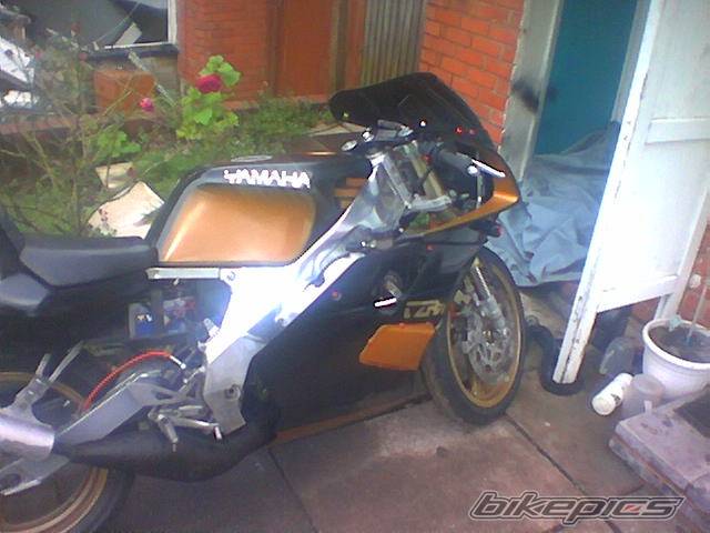 Photo 220011