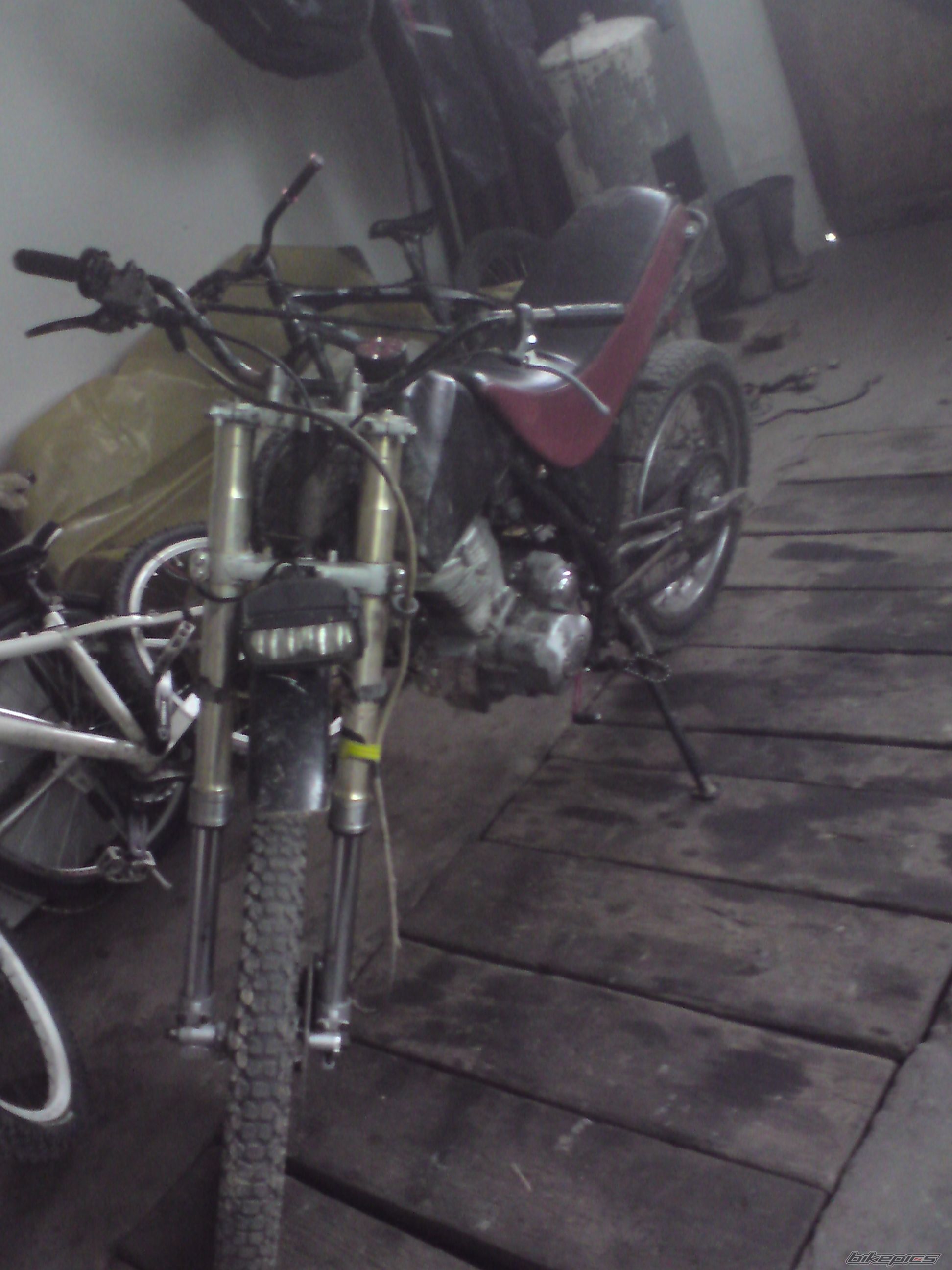Photo 2200113