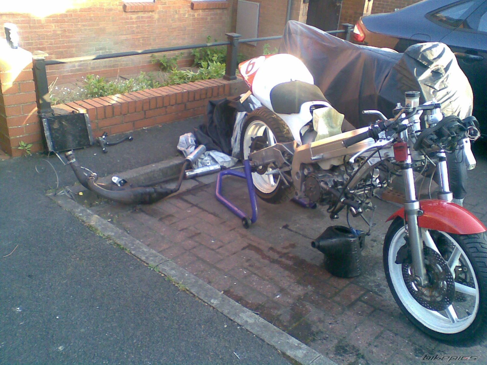 Photo 2200212