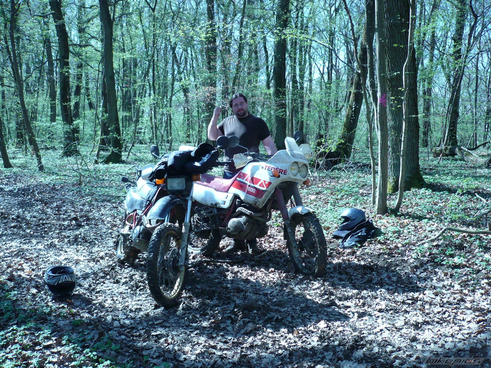 Photo 2200266