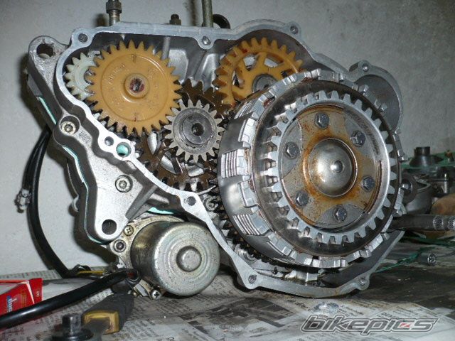 Photo 2200269