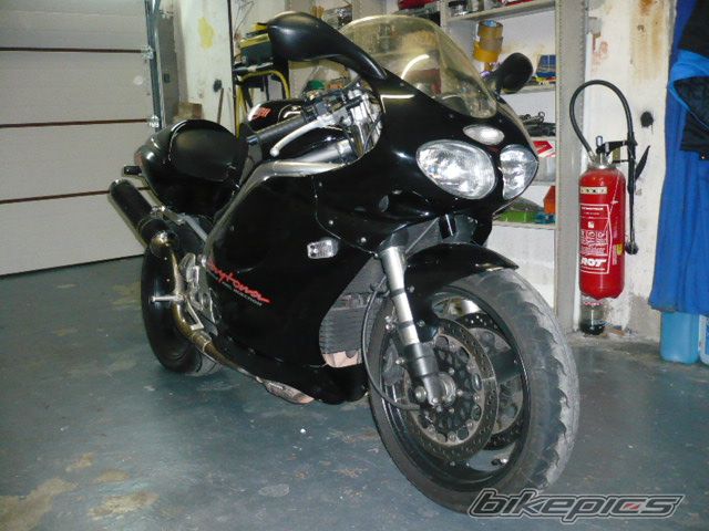 Photo 2200316