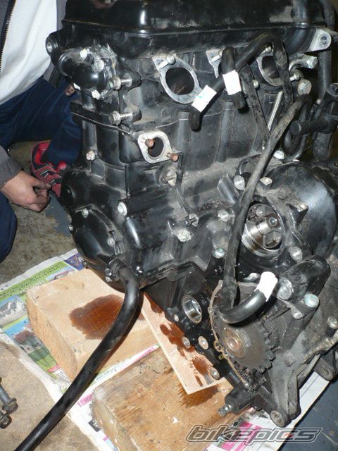 Photo 2200318