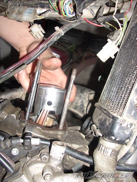 Photo 2200346