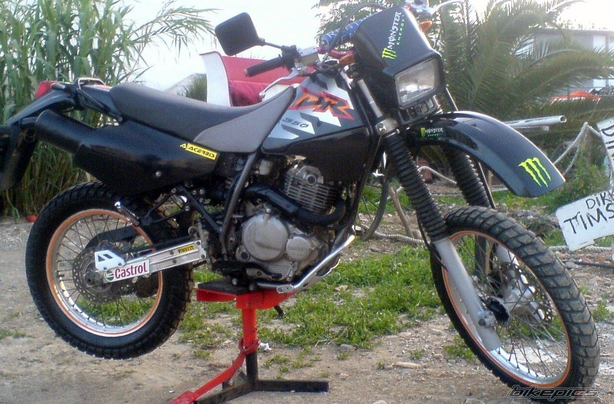 Photo 2200401
