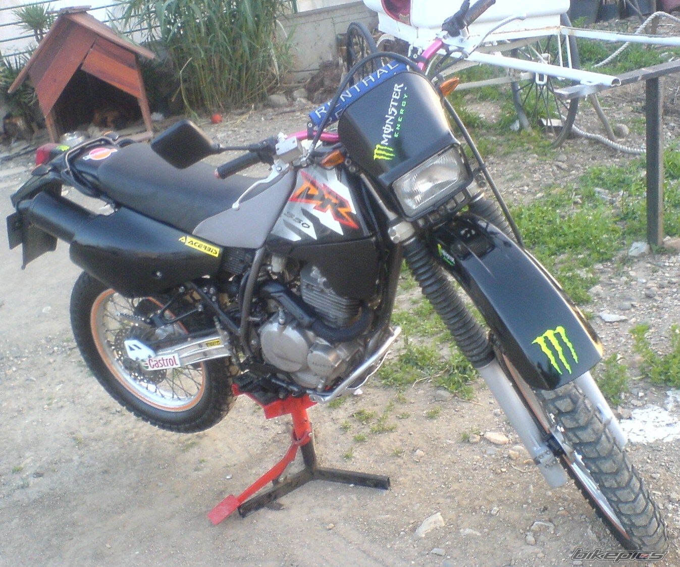 Photo 2200407
