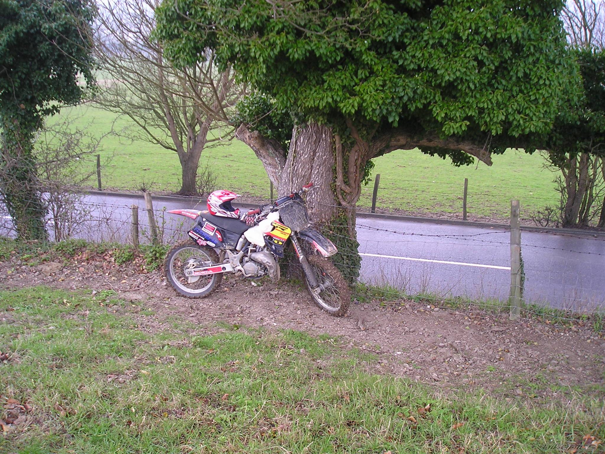Photo 220045