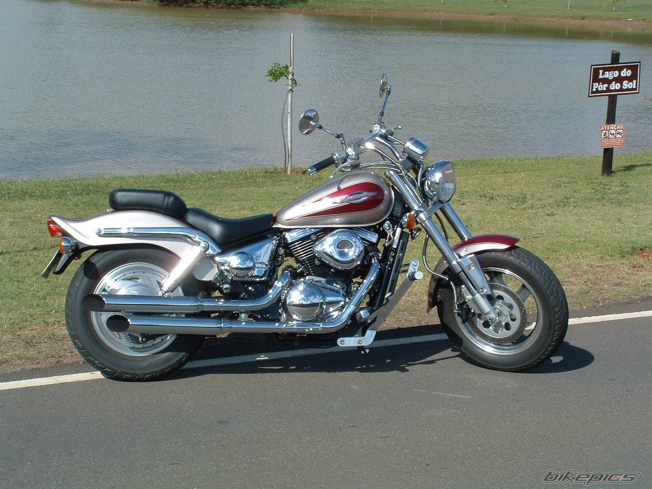 Photo 220051