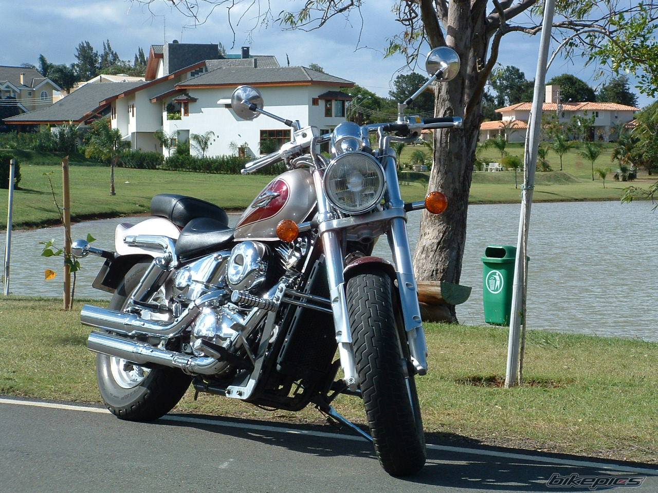 Photo 220053